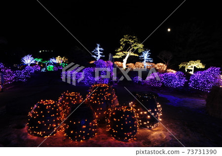 晨靜植物園,夜景,燈光,公園 晨靜植物園,夜景,燈光,公園 73731390