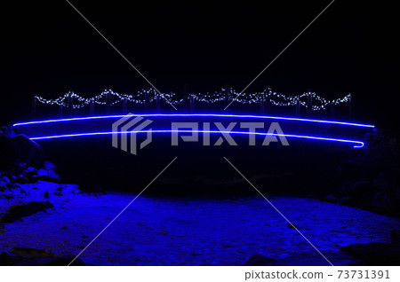 Morning Calm Arboretum, Night View, Light, Park Morning Calm Arboretum, Night View, Light, Park 73731391