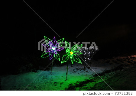Morning Calm Arboretum, Night View, Light, Park Morning Calm Arboretum, Night View, Light, Park 73731392