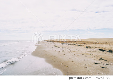 Lonely beach in the delta del ebro, tarragona, spain. Lonely beach in the delta del ebro, tarragona, spain. 73731979