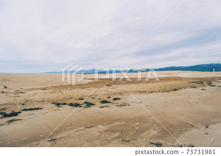 Lonely dunes in the Ebro delta, Tarragona, Spain. Lonely dunes in the Ebro delta, Tarragona, Spain. 73731981