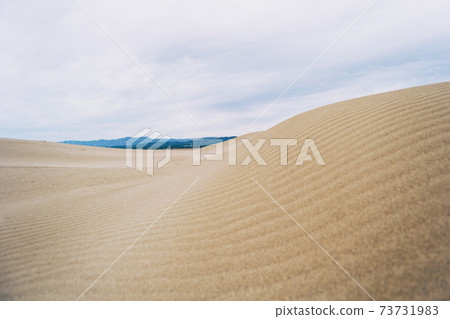 Lonely dunes in the Ebro delta, Tarragona, Spain. 73731983