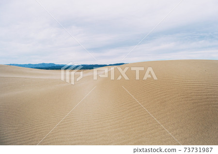 Lonely dunes in the Ebro delta, Tarragona, Spain. 73731987