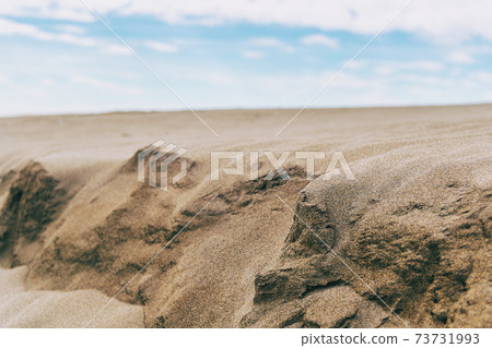 Lonely dunes in the Ebro delta, Tarragona, Spain. Lonely dunes in the Ebro delta, Tarragona, Spain. 73731993