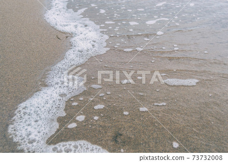 bird footprints in the wet sand of the beach bird footprints in the wet sand of the beach 73732008