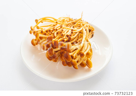 Persimmon tree mushroom Persimmon tree mushroom 73732123