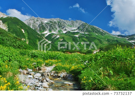 北阿爾卑斯立山夏日風景的絕妙景色 北阿爾卑斯立山夏日風景的絕妙景色 73732137
