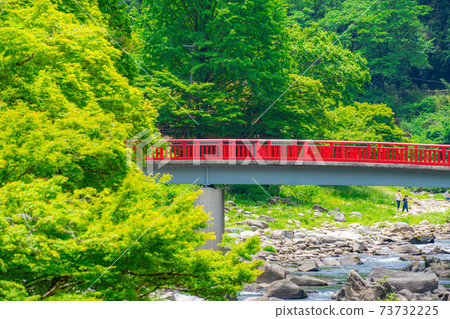 新鮮的綠色楓葉，初夏的Korankei [愛知縣] 73732225