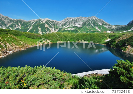 Superb view of Tateyama Mikurigaike, summer scenery Superb view of Tateyama Mikurigaike, summer scenery 73732458
