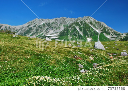 Northern Alps Tateyama Alpine Midsummer scenery Northern Alps Tateyama Alpine Midsummer scenery 73732568