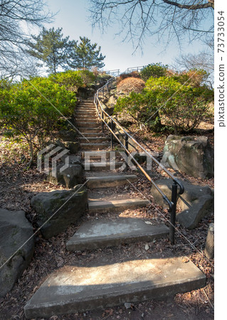 東京新宿區富山公園的箱根山 東京新宿區富山公園的箱根山 73733054
