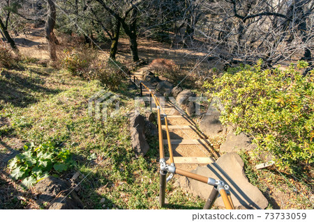 Mt. Hakone in Toyama Park, Shinjuku-ku, Tokyo 73733059