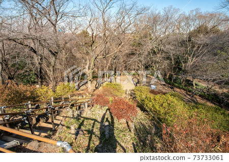 東京新宿區富山公園的箱根山 73733061