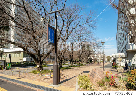 東京新宿區富山公園 東京新宿區富山公園 73733408