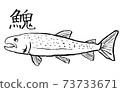 伊藤 73733671
