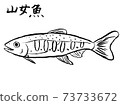 鱒魚 73733672