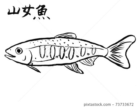 鱒魚 鱒魚 73733672