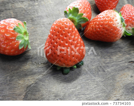 天空漿果 73734103