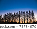 Book of the night falling on the tree 73734670