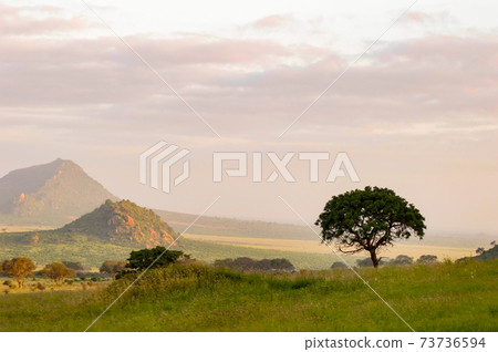 Sunrise over the savannah Sunrise over the savannah 73736594