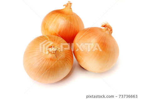 Onion white background white background 73736663