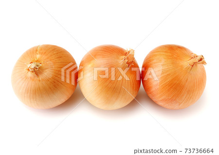 Onion white background white background 73736664