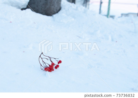 Nanakamado Nanakamado 73736832