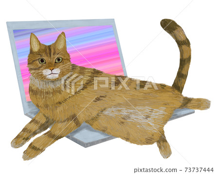 Cat Chatra that interferes with telework Cat Chatra that interferes with telework 73737444