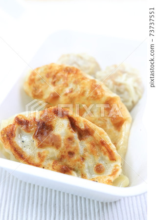 美味的外賣烤餃子和餃子 美味的外賣烤餃子和餃子 73737551