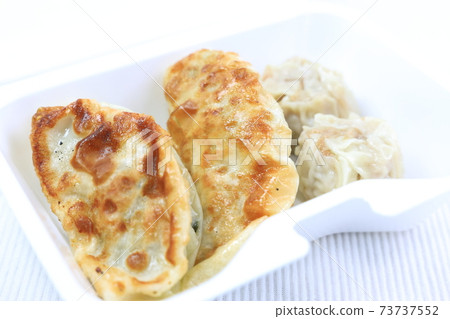 Delicious takeaway dumplings and shumai 73737552