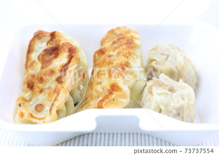 美味的外賣烤餃子和餃子 美味的外賣烤餃子和餃子 73737554