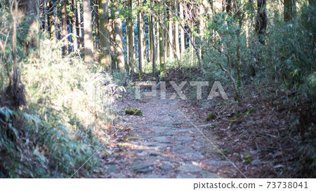 箱根老公路上的元箱根〜 73738041
