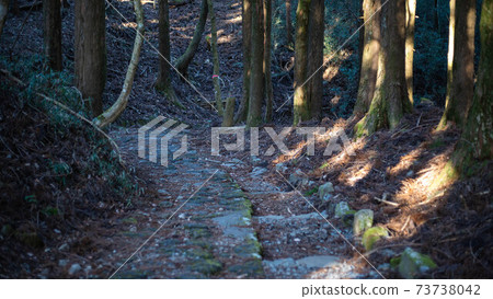 箱根老公路上的元箱根〜 73738042