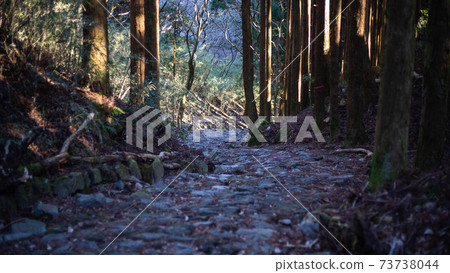 箱根老公路上的元箱根〜 箱根老公路上的元箱根〜 73738044