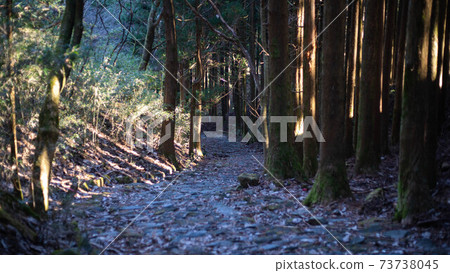 箱根老公路上的元箱根〜 箱根老公路上的元箱根〜 73738045