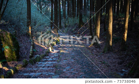 箱根老公路上的元箱根〜 箱根老公路上的元箱根〜 73738046
