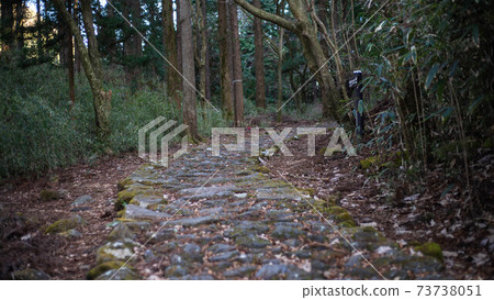 Motohakone on the Old Hakone Highway ~ Motohakone on the Old Hakone Highway ~ 73738051