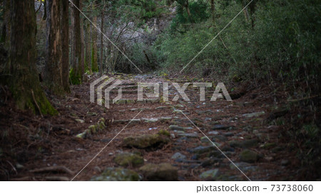 箱根老公路上的元箱根〜 箱根老公路上的元箱根〜 73738060