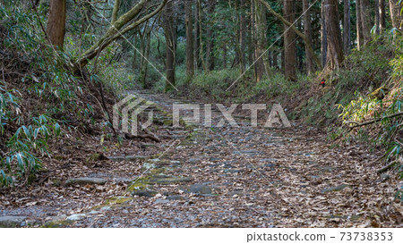 Motohakone on the Old Hakone Highway ~ Motohakone on the Old Hakone Highway ~ 73738353