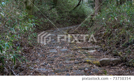 Motohakone on the Old Hakone Highway ~ Motohakone on the Old Hakone Highway ~ 73738354