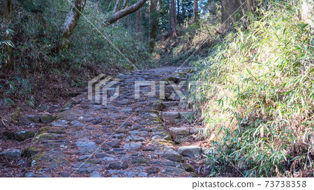 Motohakone on the Old Hakone Highway ~ Motohakone on the Old Hakone Highway ~ 73738358