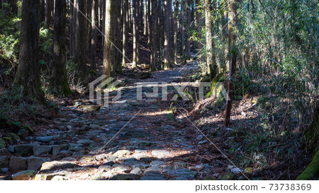 箱根老公路上的元箱根〜 箱根老公路上的元箱根〜 73738369