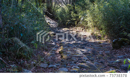 箱根古道上的宮宮ka 箱根古道上的宮宮ka 73738378