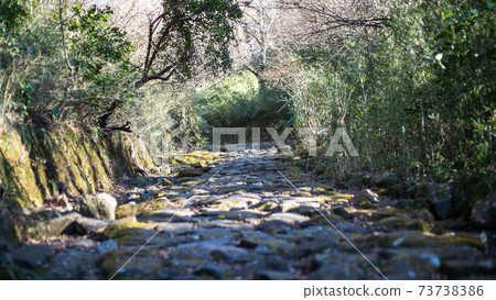 箱根古道上的宮宮ka 73738386