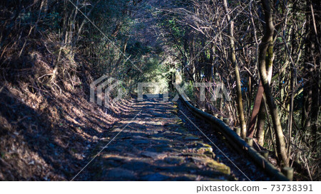 箱根老公路上的天鶴茶屋 73738391