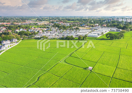 Land plot and green field in aerial view. 73738490