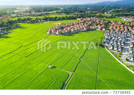 Land plot and green field in aerial view. Land plot and green field in aerial view. 73738491