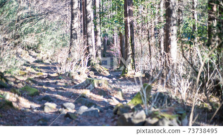 Amazake-chaya on the Old Hakone Highway 73738495