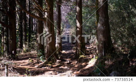 箱根老公路上的天鶴茶屋 箱根老公路上的天鶴茶屋 73738514