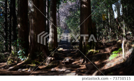箱根老公路上的天鶴茶屋 73738515